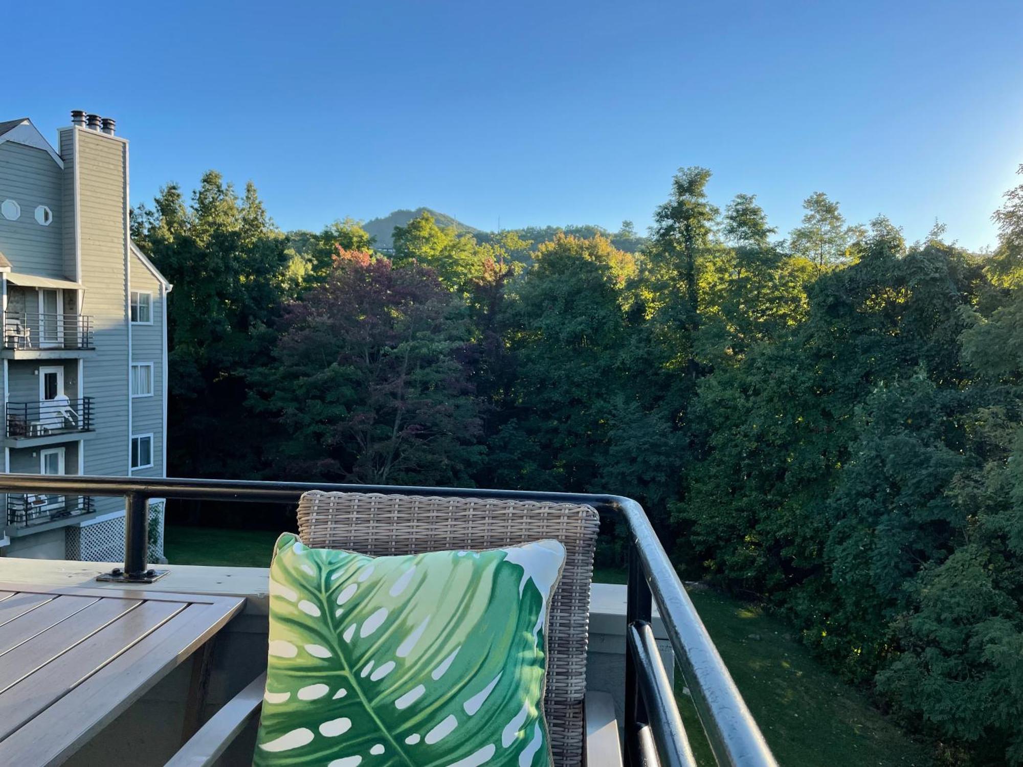Gatlinburg Summit Getaway For 2 With Amazing View!公寓 外观 照片